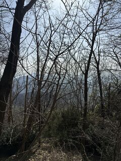 Fotografie z Vincenzo Cascio na trase