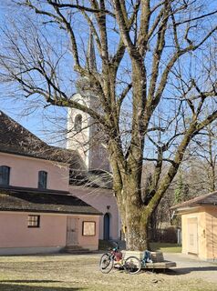 Foto von Filou und Luna entlang der Tour