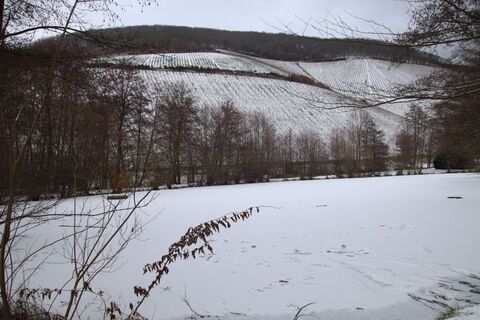 Zdjęcie z Günter Kleutsch wzdłuż trasy
