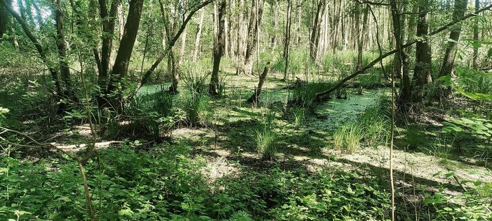 Foto de Niek Werf a lo largo del recorrido