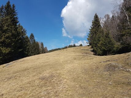 Foto de schenkeli a lo largo del recorrido