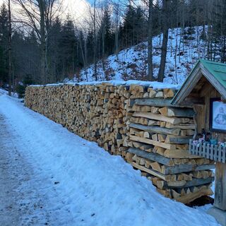 Winterspaziergang Hollensteinrunde