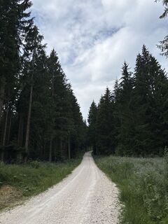 Foto von Heinz Sperl entlang der Tour