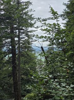 Foto von Rainer Kiening entlang der Tour