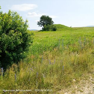 Tumulus, Popovyane