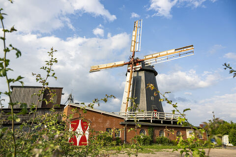 Meyers Windmühle mit Café und Hofladen