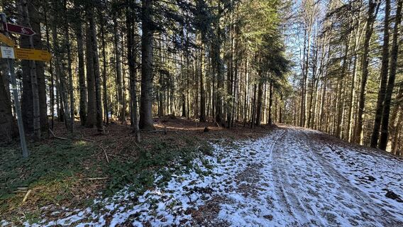 Foto de peter_oe a lo largo del recorrido