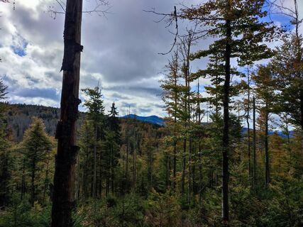 Sicht vom Unteren Gruftsteig zum Rachel