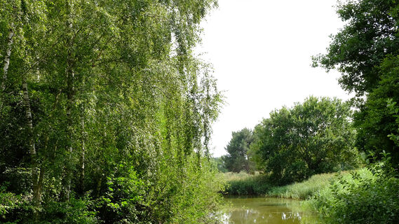Fluss Gifhorn.jpg