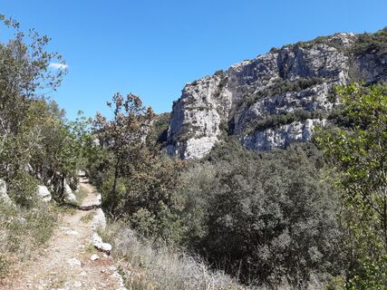 Fotografija s spletne strani nordbergschnecke na poti