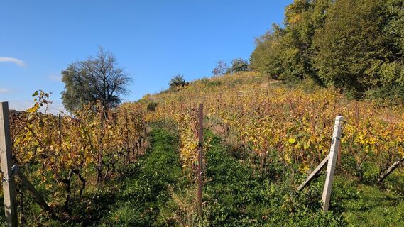 Foto von Stefano Manzoni entlang der Tour