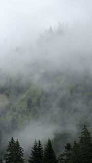 Fotografija s spletne strani Klaus Lehner na poti