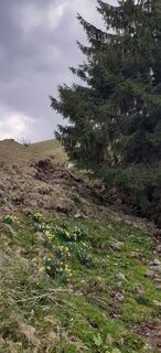 Photo de Bernard Piat le long du parcours