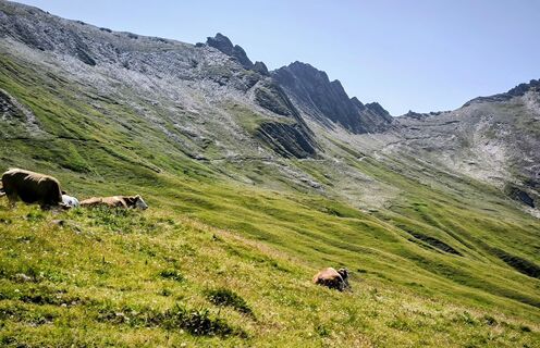 Foto von Walter Tinkhauser entlang der Tour