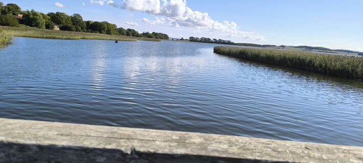 Foto de Guido Geyer a lo largo del recorrido