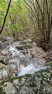 Photo de Stefano Calligaris 1 le long du parcours