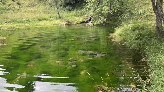 Foto de Jean Claude Guidi a lo largo del recorrido