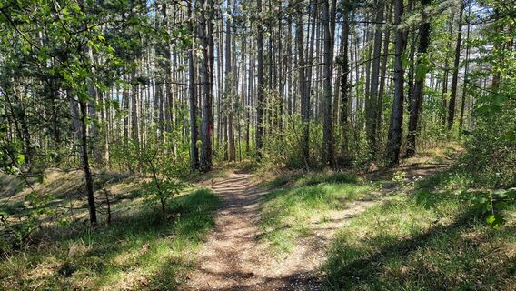 Foto de EP87 a lo largo del recorrido