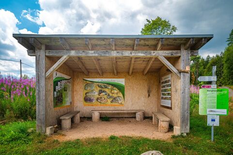 Einstieg zum Bergbaupfad oberhalb Urberg