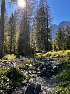 Fotografija s spletne strani F A 4 na poti