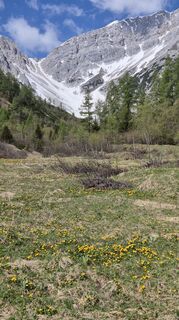 Fotografija s spletne strani Cilli Waldhof na poti