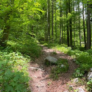 Pfannstein-Trail - Micheldorf