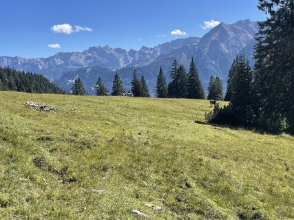 Zdjęcie z Daniel Müller 10 wzdłuż trasy