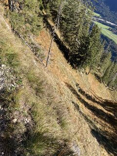 Foto von Philip N. entlang der Tour
