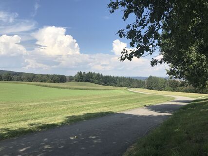 Photo de Annette Manz le long du parcours