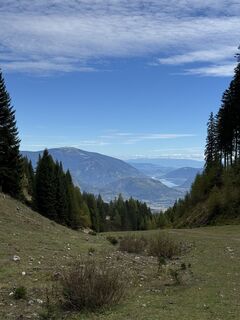 Fotografia z Matthias Rath na trase