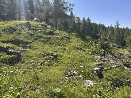 Foto von Elke Preßl entlang der Tour