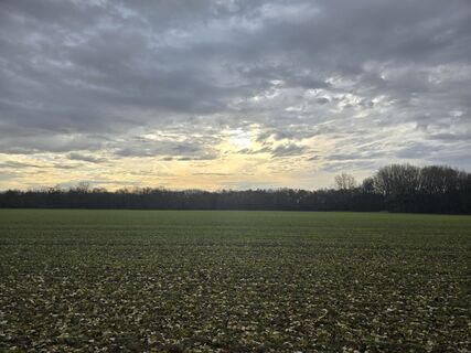 Fotografia z Kalliope Tuta na trase