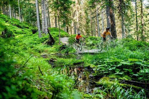 Hochalm Trail