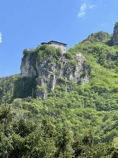 Fotografia z Heikoala na trase