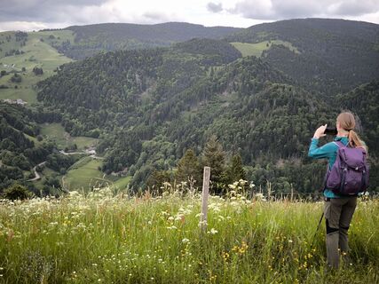 Fotografija s spletne strani Dietmar Lüdenscheid ? na poti