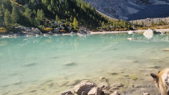 Photo de Michael Sparlund le long du parcours