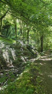 Photo de Dietmar Herrenschmidt le long du parcours