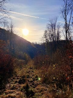 Fotografia z TallWanderBilly na trase