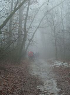 Photo de Julika Jármer le long du parcours