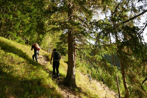 schöner Aufstieg ohne viel Umweg