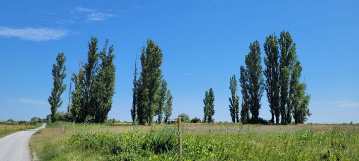 Foto de Nicky a lo largo del recorrido