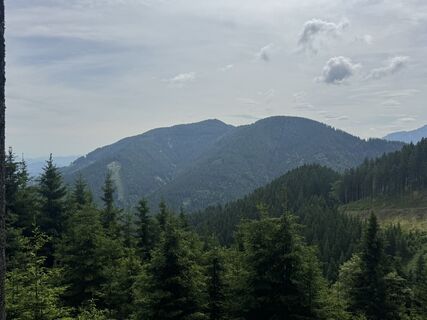 Fotografija s spletne strani Matthias Rath na poti
