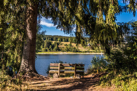 Rastbank am Schluchsee