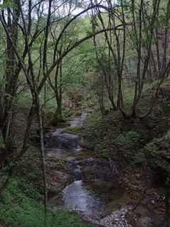 Foto de Aner a lo largo del recorrido
