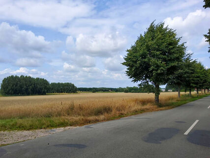 Straße bei Ostedt mit weitem Blick über Felder