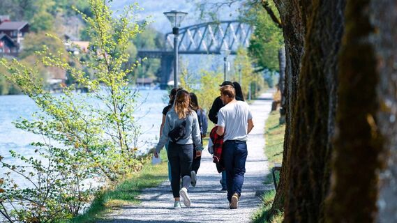 Wanderung entlang des Aarelaufs von Interlaken nach Bönigen