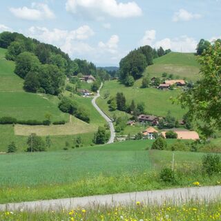 Weg vor Kehrmühle - Herzroute