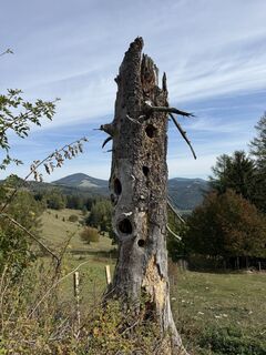 Foto de Gerti Glettler a lo largo del recorrido