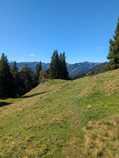 Foto von Vanessa L. entlang der Tour