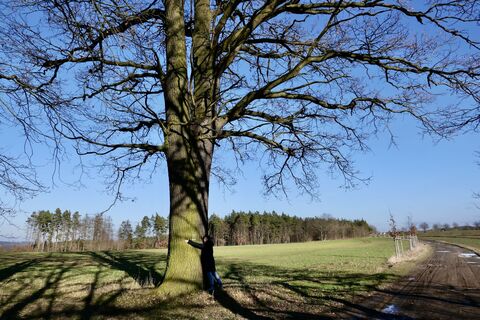 Fotografie z Svensonalpin na trase